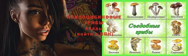 крисы Бронницы